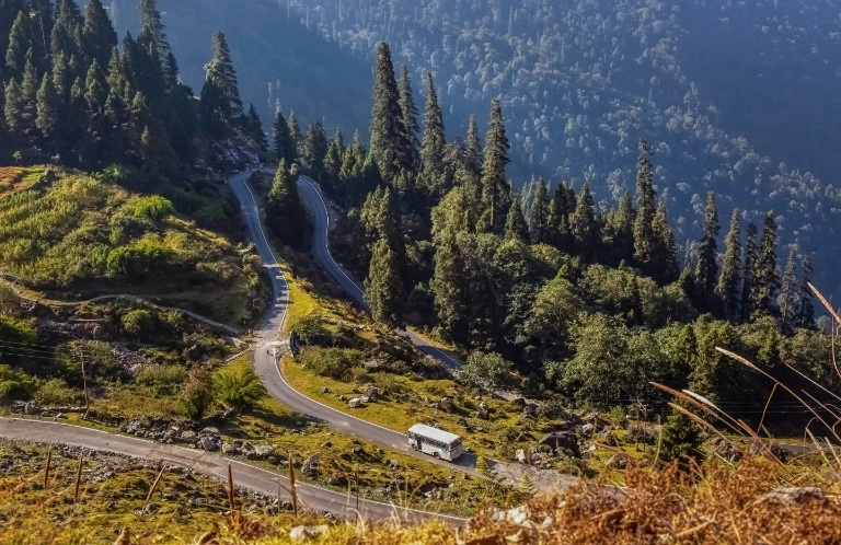 droga przez lasy i&nbsp;góry